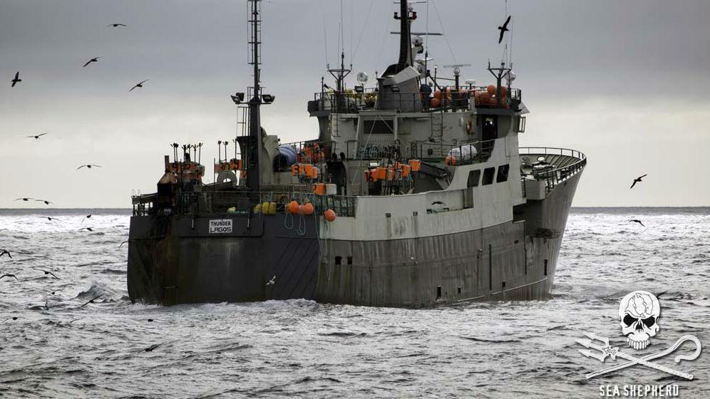 Sea Shepherd Intercepts Toothfish Poachers